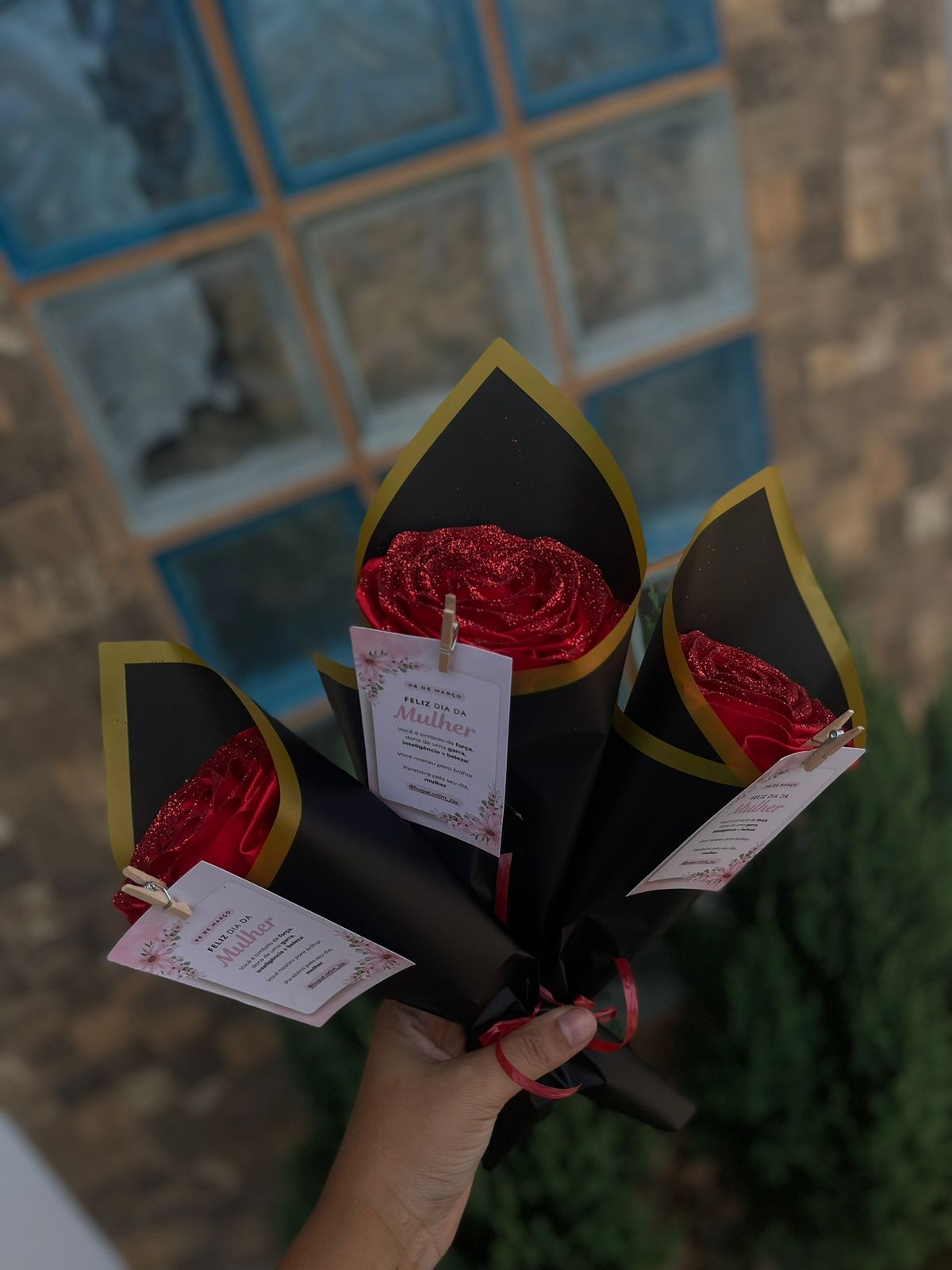 3 Rosas Eternas do Enigma de Jaú